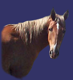 Pryor