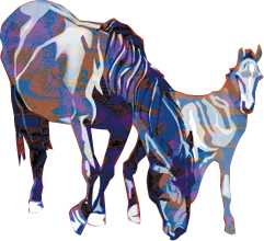 Mustangs